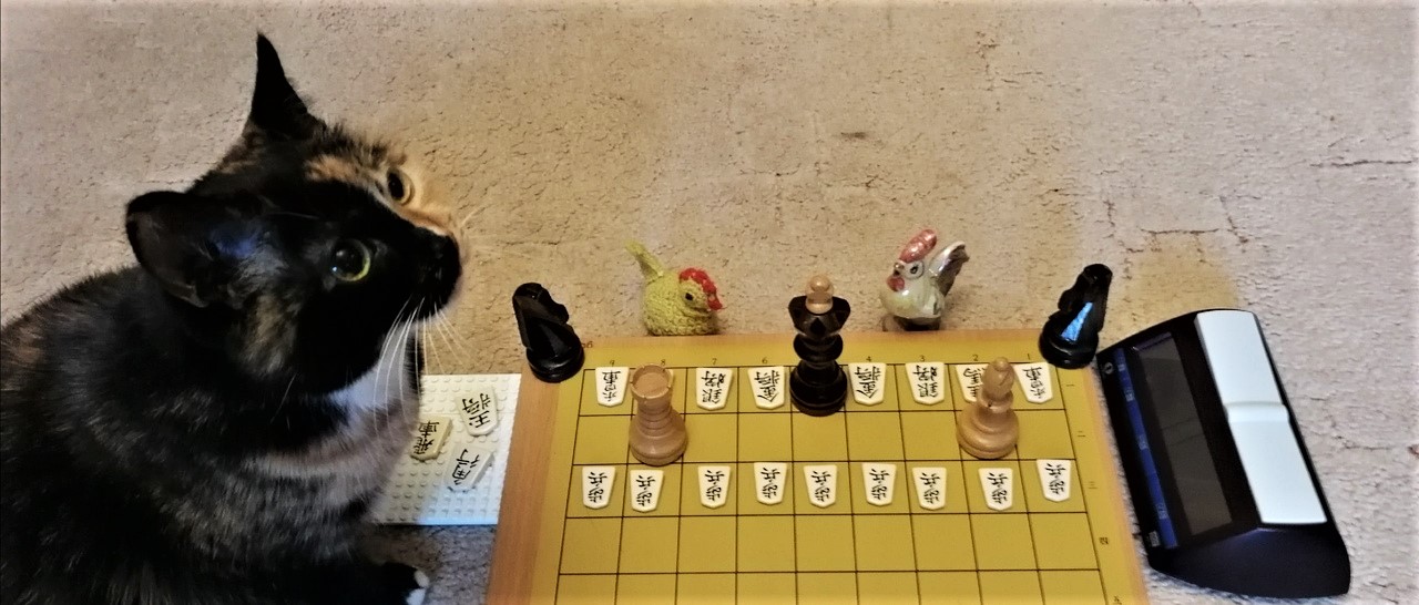 Итоги онлайн-биатлона Chess&Shogi